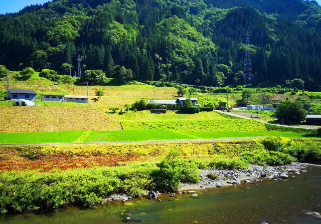 夏の里山