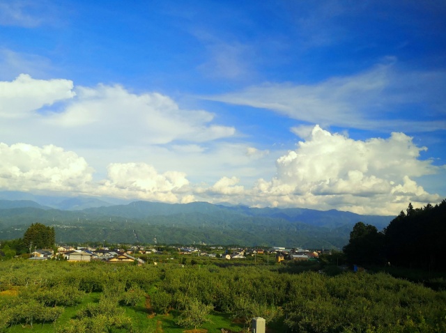 夏の里山