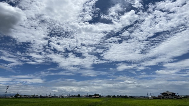 夏空の雲