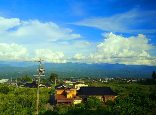 夏の里山