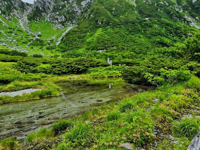 夏の千畳敷