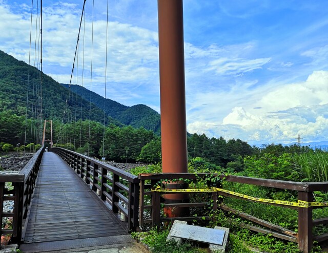 夏の里山