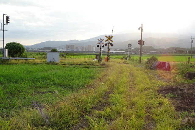 ローカル線の踏切