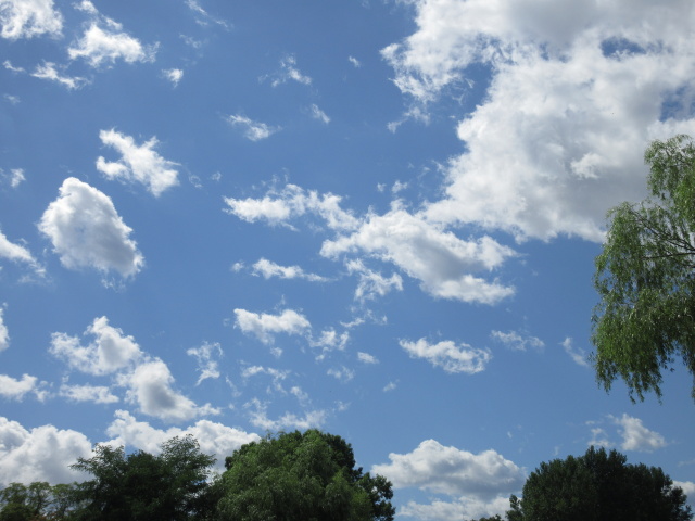 見上げれば ちぎれ雲