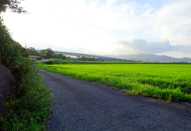 鳥栖JCT遠景