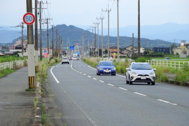 小郡最高峰 城山に続く道