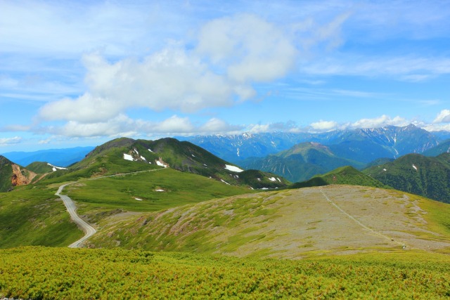 夏の乗鞍岳