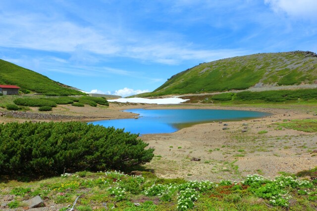 夏の乗鞍岳