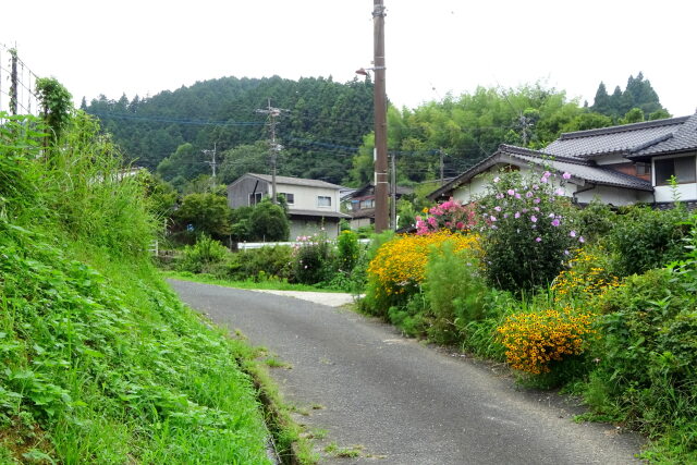 花が咲いている山村の道