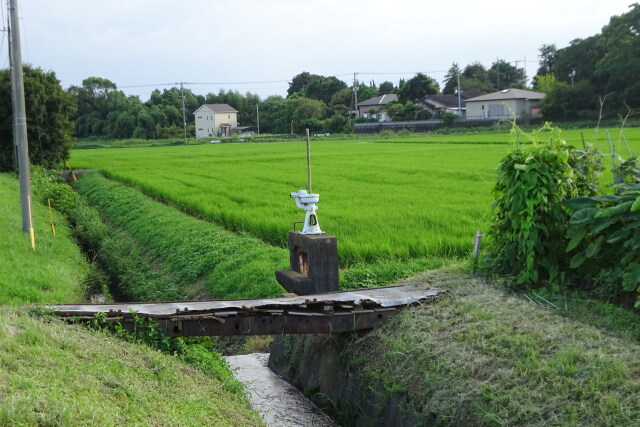 ある夏の日 畑に架かる小さな橋