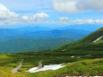 夏の乗鞍高原