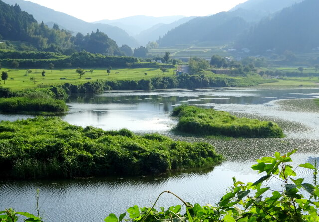 晩夏の水風景