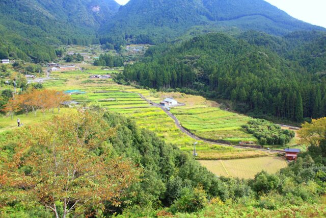 初秋の里山