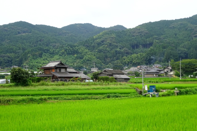 夏の終わり 里景色