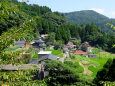 夏から秋へ 山村集落