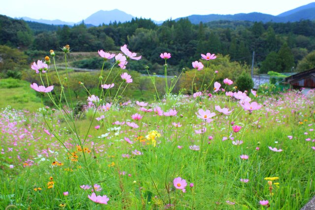 初秋の里山