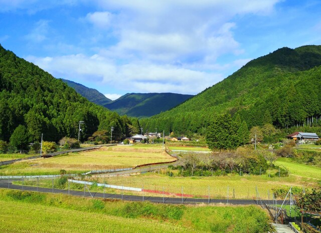 初秋の里山