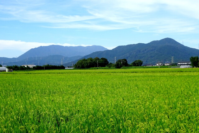 9月初旬 実りの秋へ