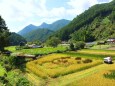 秋の里山