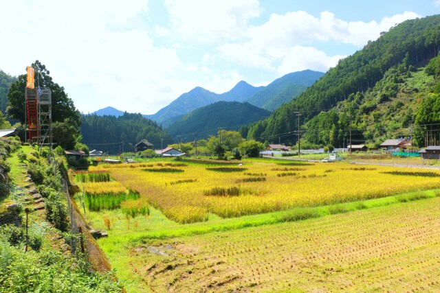 秋の里山