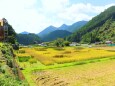 秋の里山