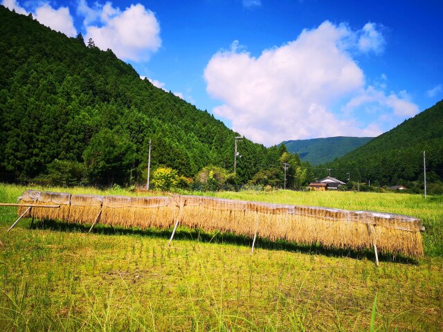 秋の里山