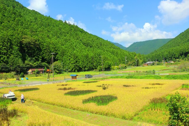 秋の里山