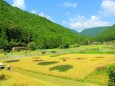 秋の里山