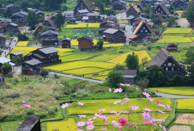 秋の白川郷