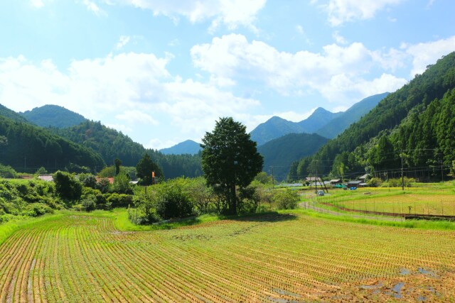 秋の里山