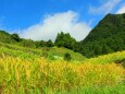 秋の里山