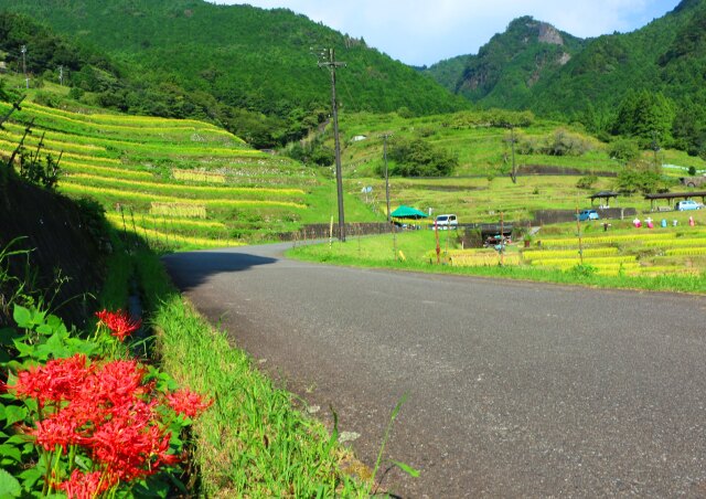 秋の里山