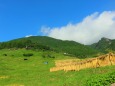 秋の丸山千枚田