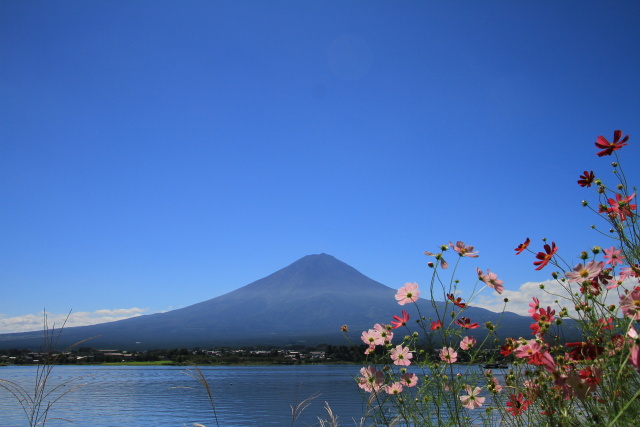 秋の気配