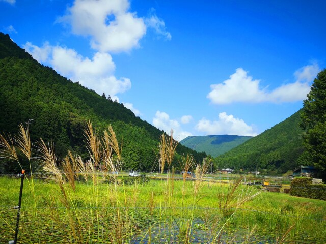 秋の里山