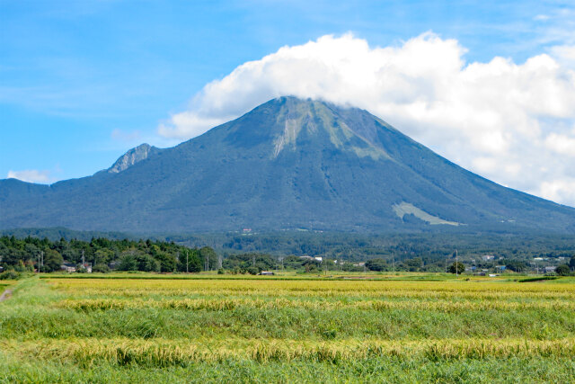 秋の大山 3