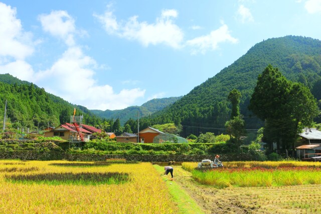 秋の里山