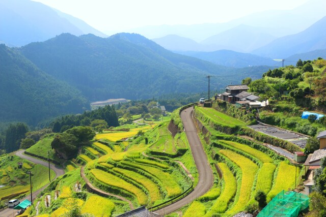 秋の千枚田