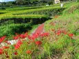 秋の里山