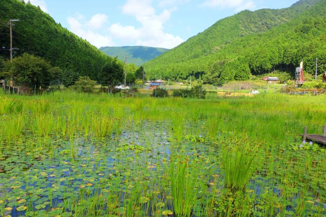 秋の里山