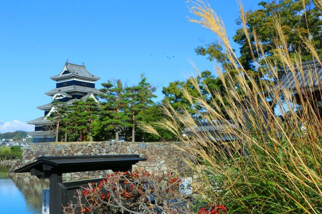 秋の松本城