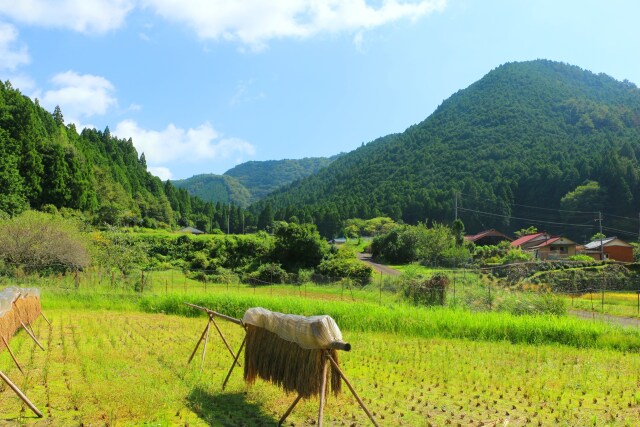 秋の里山