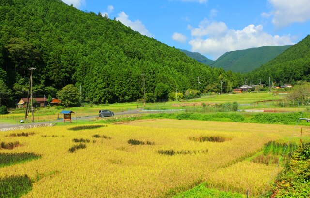 秋の里山