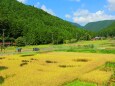 秋の里山