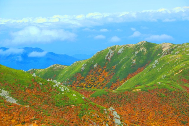 秋の駒ヶ岳