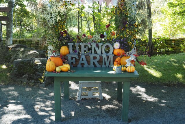 UENO FARM