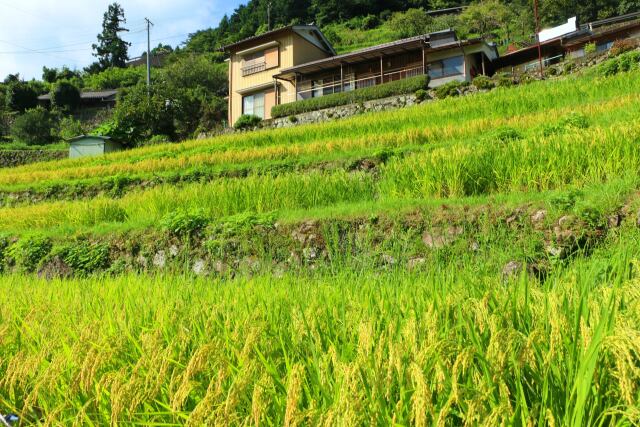 秋の里山