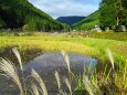 秋の里山