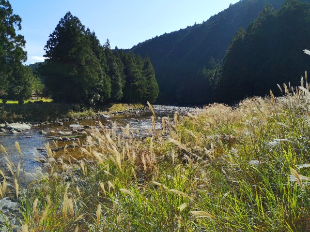 秋の里山