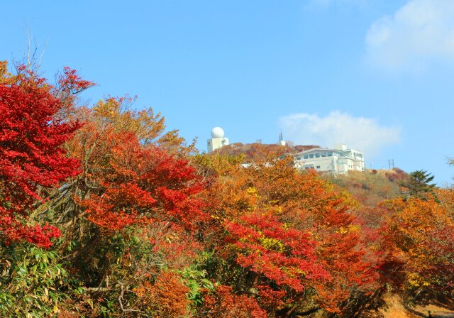 秋の御在所岳